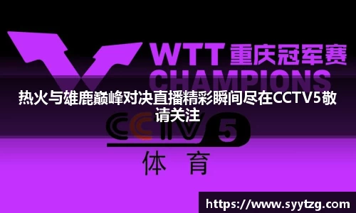 热火与雄鹿巅峰对决直播精彩瞬间尽在CCTV5敬请关注